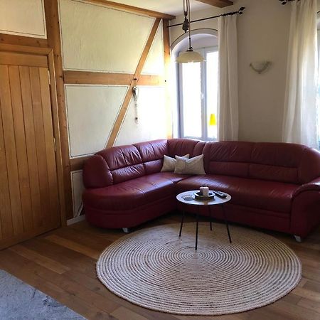 Apartamento Butterfly Grimma Exterior foto