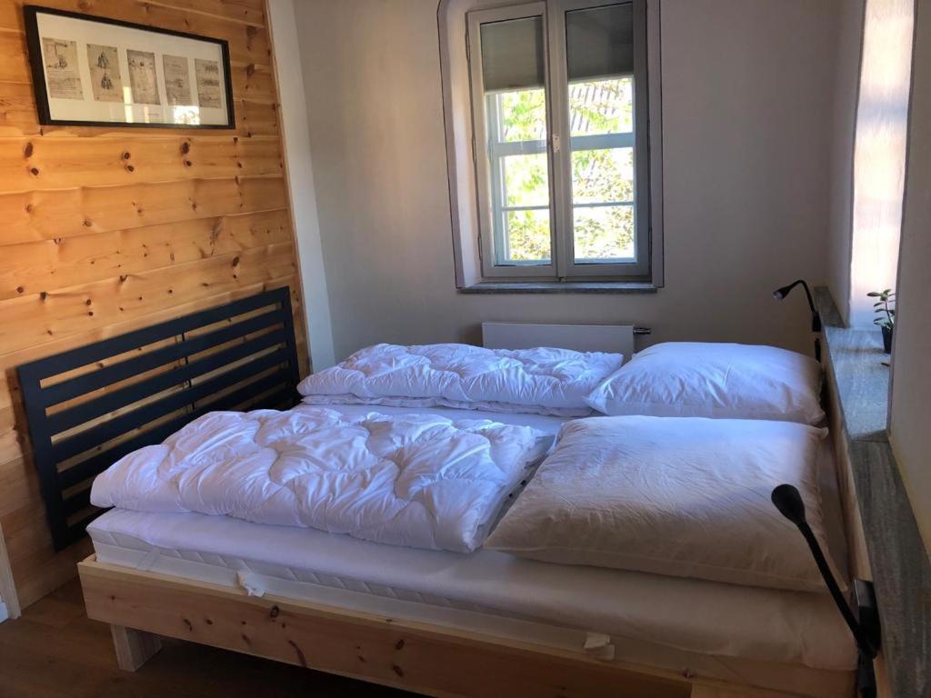 Apartamento Butterfly Grimma Exterior foto