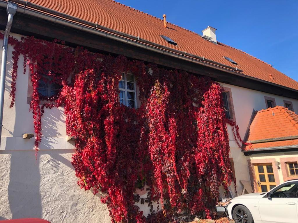 Apartamento Butterfly Grimma Exterior foto